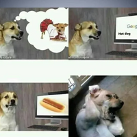 Hot dogs near you