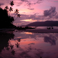 Malasian Sunrise 
