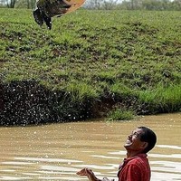 did this fish jump this high? or was he thrown?
