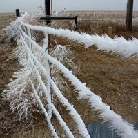 Frosty fence