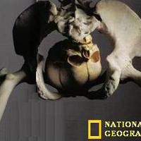 !0,000 year old remains of a liberal.