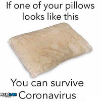 A comfy pillow