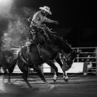My First Rodeo by Thomas Jordan