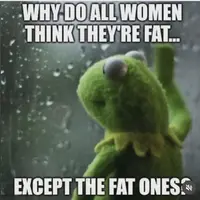 Kermit asking the big questions