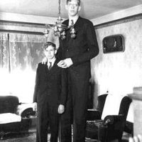 Robert Wadlow - 8 feet 11 inches tall
