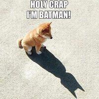 IM BATMAN!