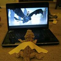 Dream big