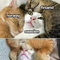Scandinavia