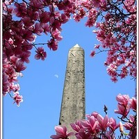 Where is this Egyptian obelisk today?