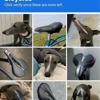 Bike seats