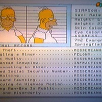 Homer Simpsons Criminal Record