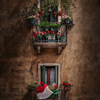 Verandas by Alex Hill
