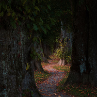 The Light of Autumn by Michael Bottari