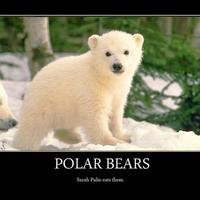 sarah palin eats polar bears