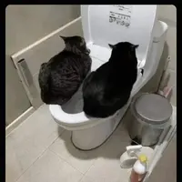 Heated toilet 