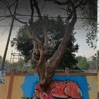 Street art