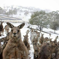 I hear it is chilly down south