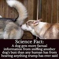 They both stink