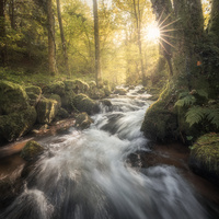 Enchanted Stream by Benjamin Höger