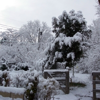 Snowy yard