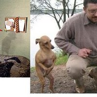 Dobby and the wierd dog