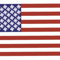 New US flag