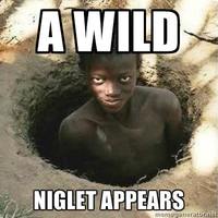 wild-nigglet