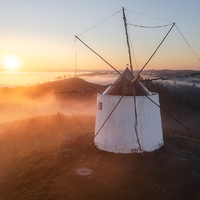 Misty Winds by Tiago Marques