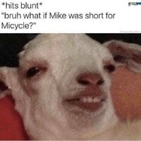 Micycle