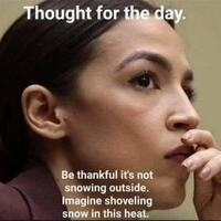 dumb as a box of hammers