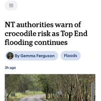 NT speed bumps