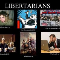 Libertarian What I actually do.  