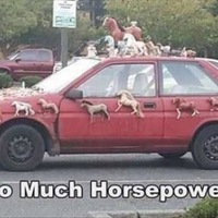 So much more horsepower