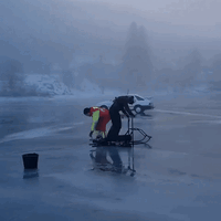 What could go wrong?