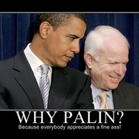 Why Palin