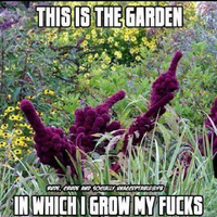 The Fuckitree