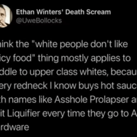 Asshole prolapser