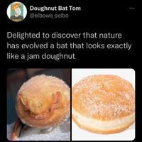 Life, uh, finds a way