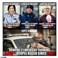 Police shootings, but Norway, Finland and Iceland are the problem... (sarcasm)