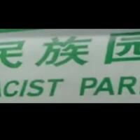 No asians