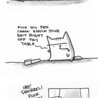 Cat Humour