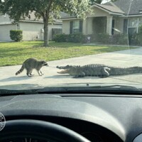 Parking enforcement won't win