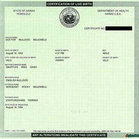 real or fake Hawaiian Birth certificate?