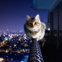 On a wire