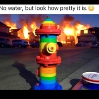 California is fucked
