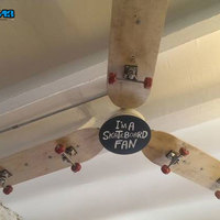 skateboard fan