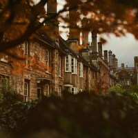 Charming row of historic brick houses in autumn by Tanya Barrow