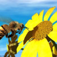 Nice looking computer rendered honeybee