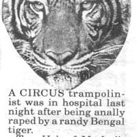 anally raped by a tiger!! wtf!