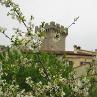 Capalbio's castle (Touscany, Italy)